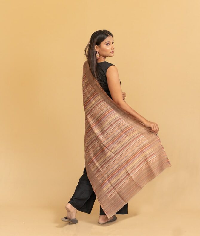 Pure Pashmina Double Sided Stole | Beige Pashmina Stole | Best Pashmina Scarf - Luxury Pashmina