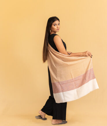 Pure Pashmina Stole with Multicolour Striped Pallu | Pashmina Scarves & Shawls - Luxury Pashmina