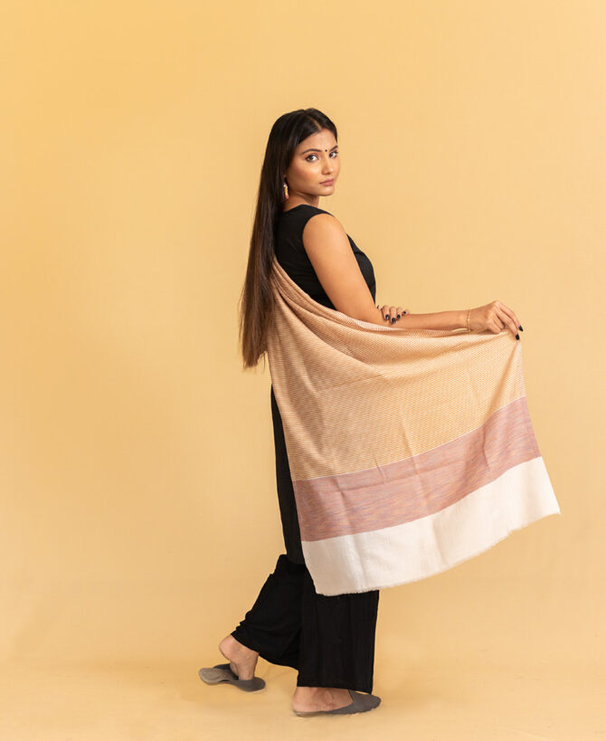 Pure Pashmina Stole with Multicolour Striped Pallu | Pashmina Scarves & Shawls - Luxury Pashmina