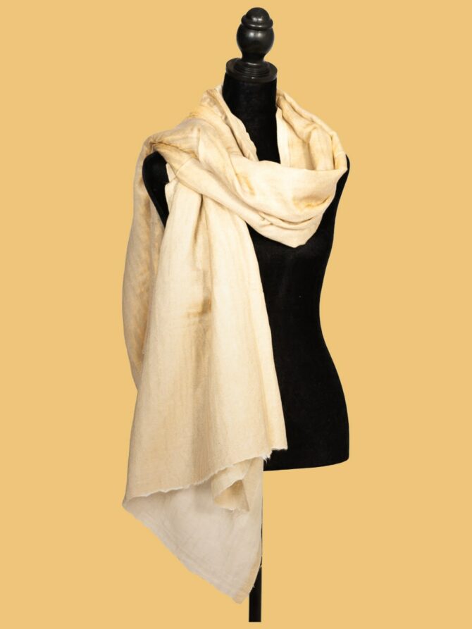 Pure Pashmina Shawl with Double-Sided Golden Zari | Buy Original Pashmina Shawl | Authentic Cashmere Shawl | Pashmina Shawl Online - Luxury Pashmina